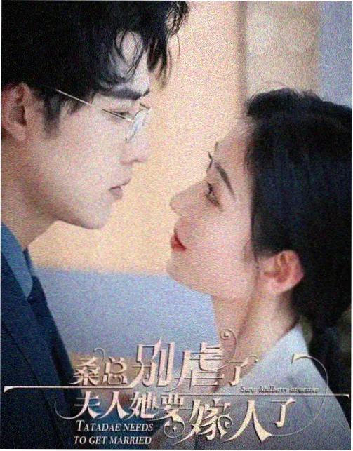 沉默证人 律政悬疑剧在线观看